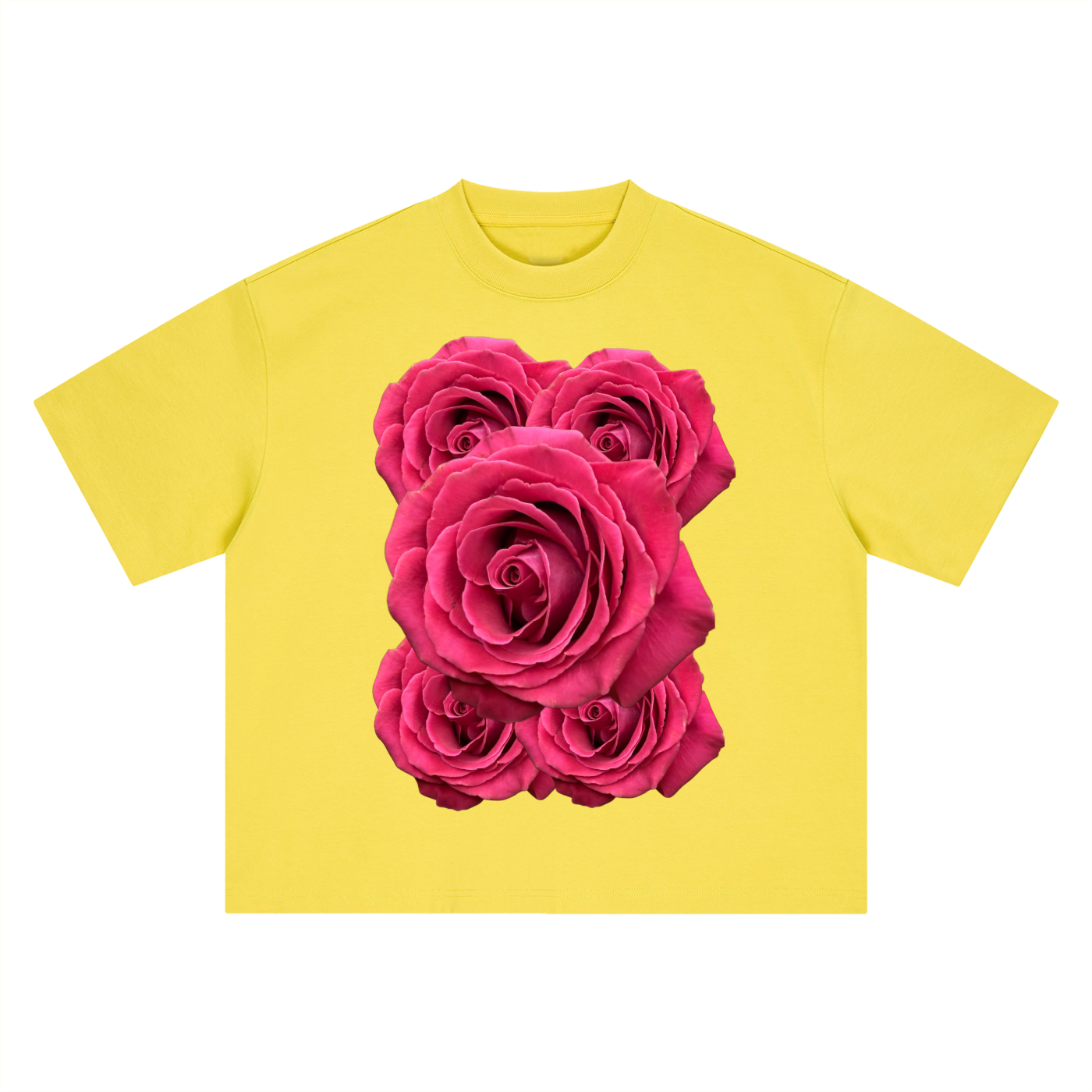 Rose,Flowers,Floral,Nature