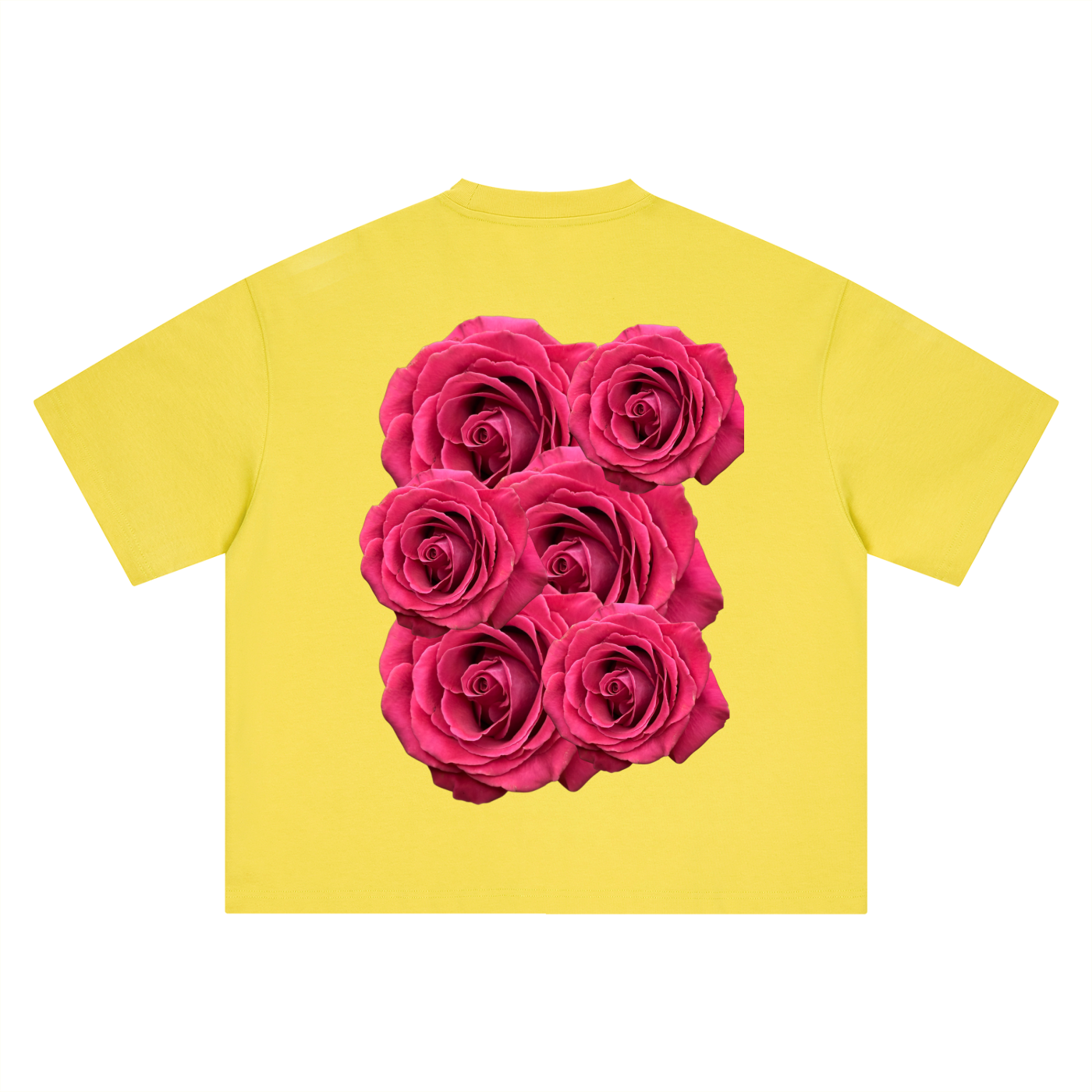 Rose,Flowers,Floral,Nature